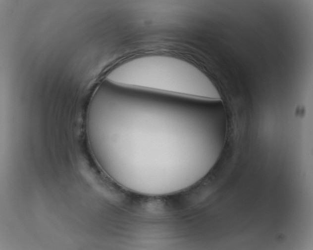 X0000110720600200906121249
