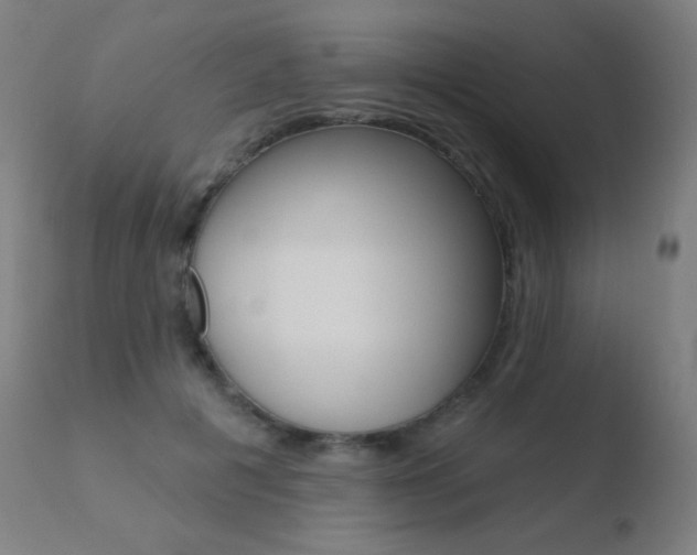 X0000110720601200906121249