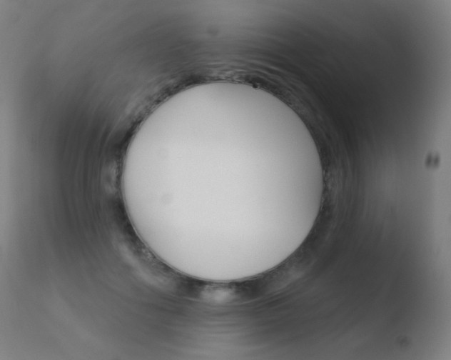 X0000110720602200906121249