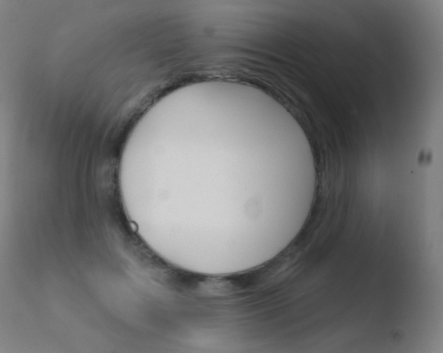 X0000110720603200906121249