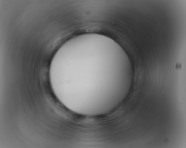 X0000110720604200906121249