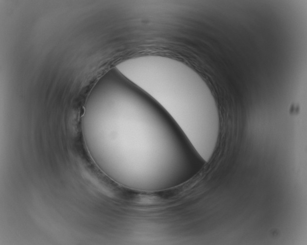 X0000110720605200906121249