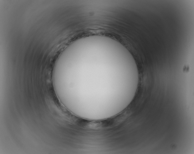 X0000110720606200906121249