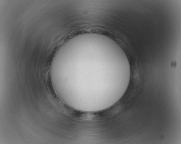 X0000110720607200906121249