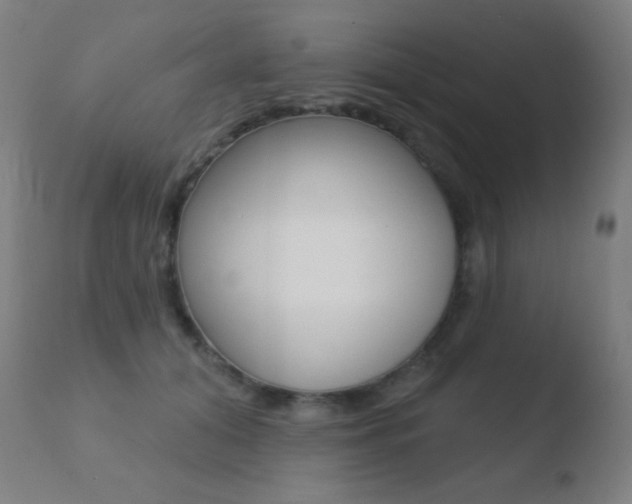 X0000110720608200906121249