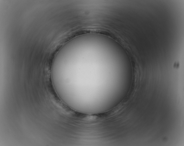 X0000110720609200906121249