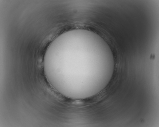 X0000110720610200906121249