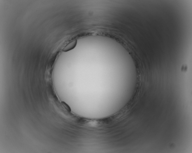 X0000110720611200906121249
