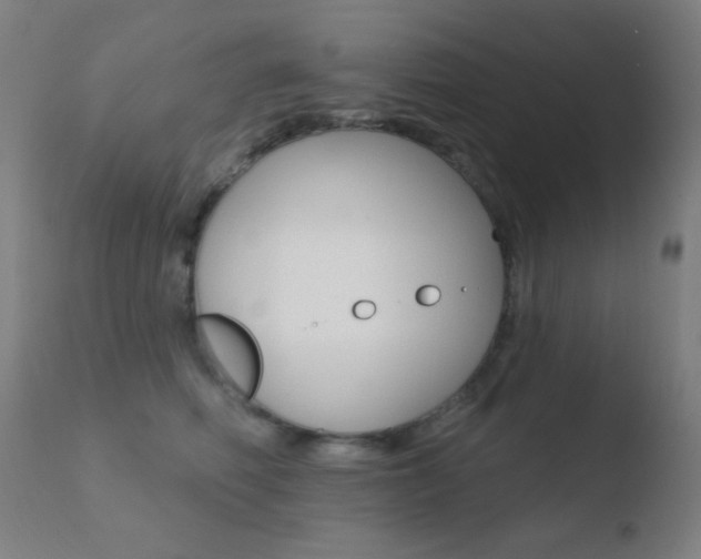 X0000110720614200906121249