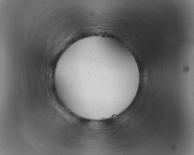 X0000110720615200906121249
