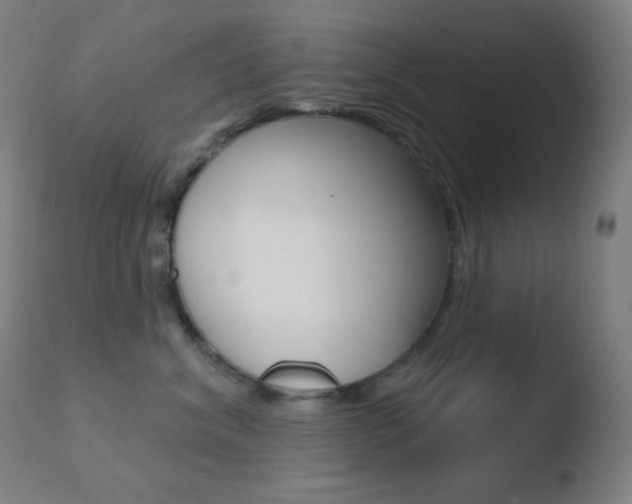 X0000110720620200906121248