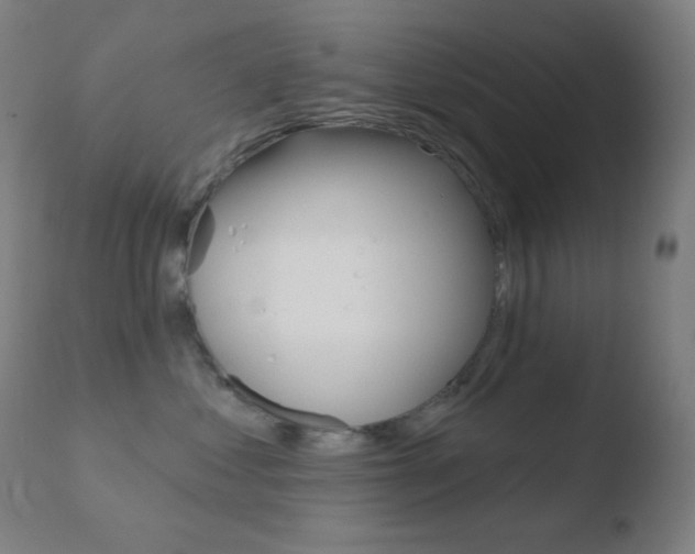 X0000110720621200906121248