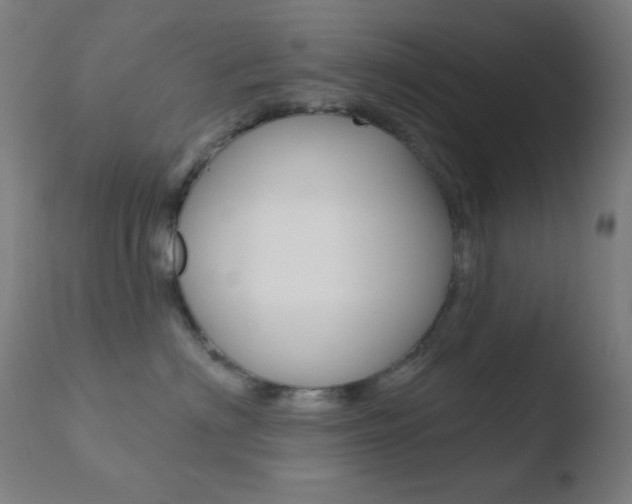 X0000110720622200906121248