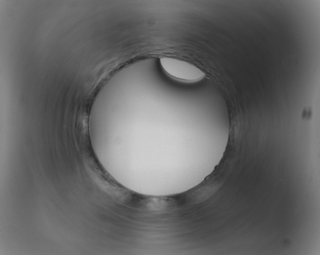 X0000110720623200906121248