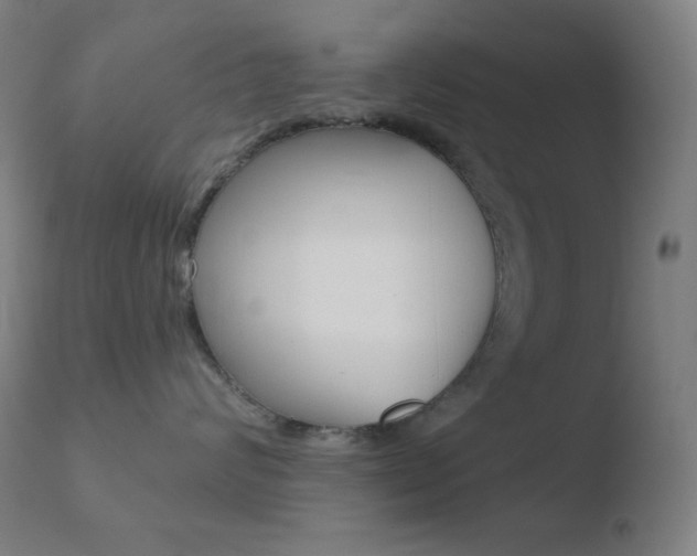 X0000110720624200906121248