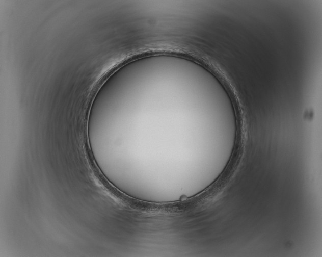 X0000110720625200906121247