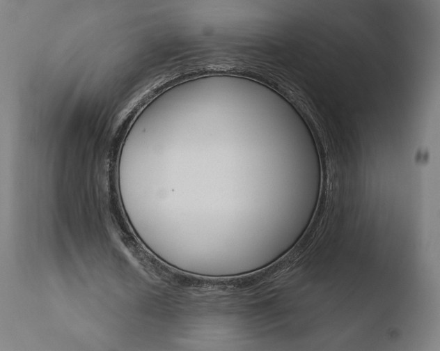 X0000110720626200906121247