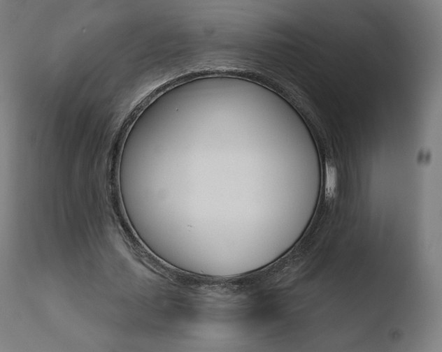X0000110720627200906121247