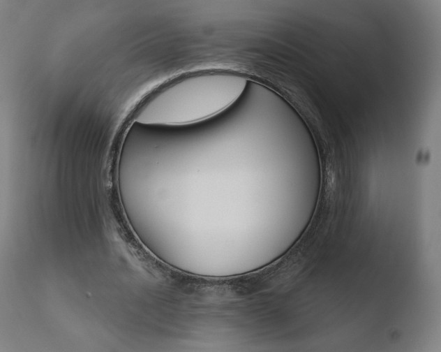 X0000110720628200906121248