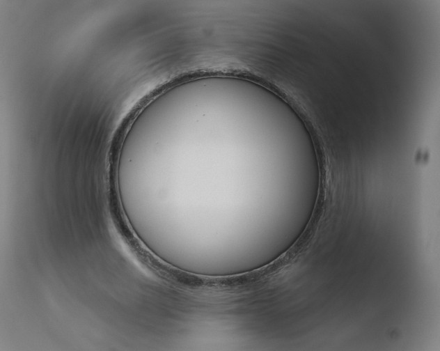 X0000110720630200906121248