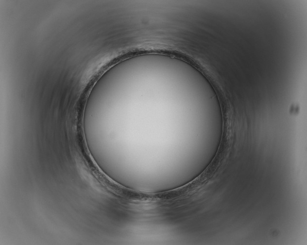 X0000110720631200906121248