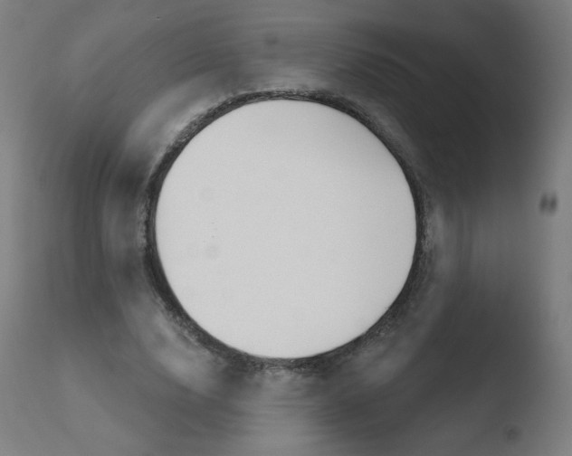 X0000110720632200906121248