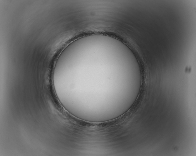 X0000110720635200906121248