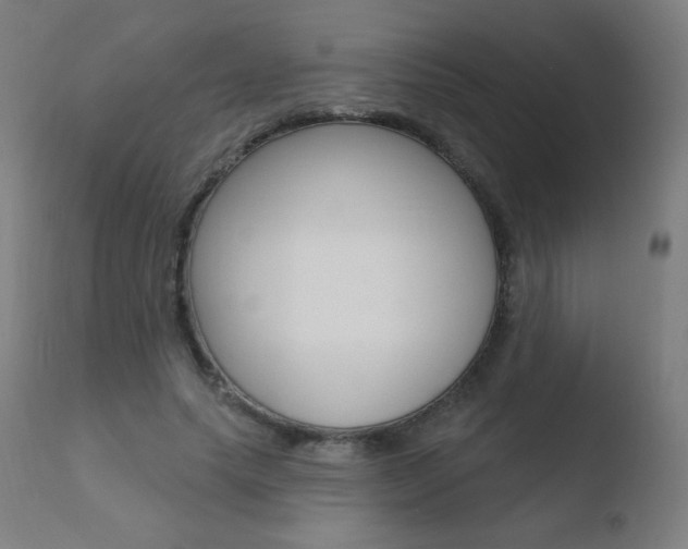X0000110720639200906121248
