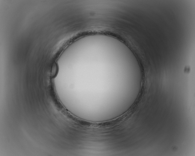 X0000110720640200906121248