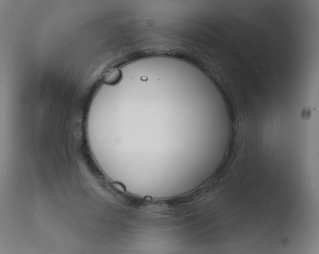 X0000110720642200906121248