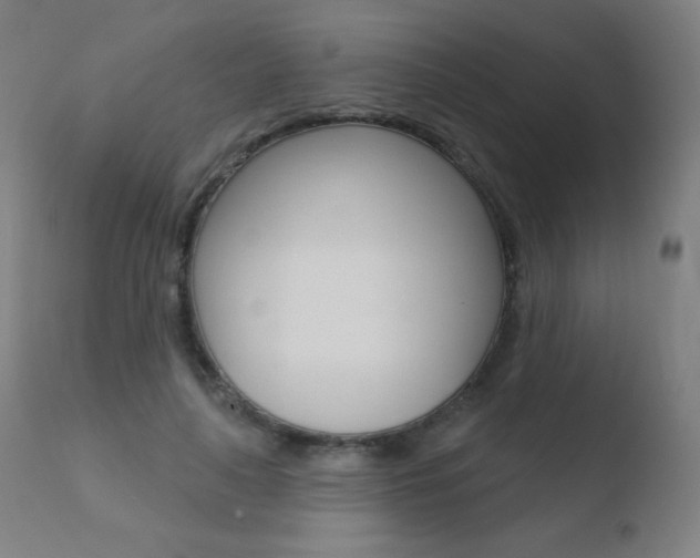X0000110720643200906121248