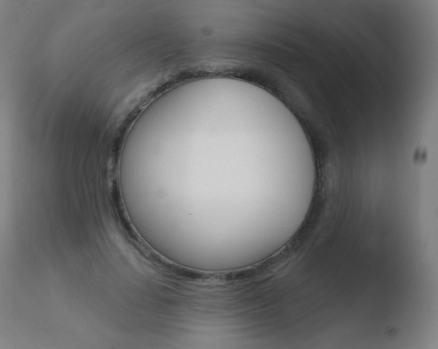X0000110720644200906121248