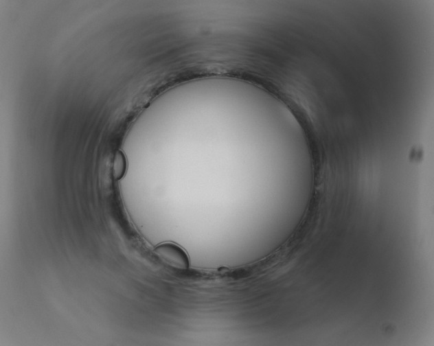 X0000110720646200906121248