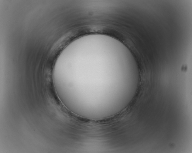 X0000110720648200906121248
