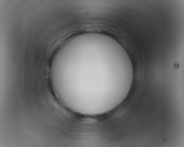 X0000110720649200906121248