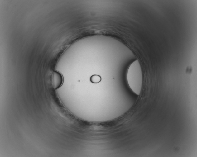 X0000110720650200906121248