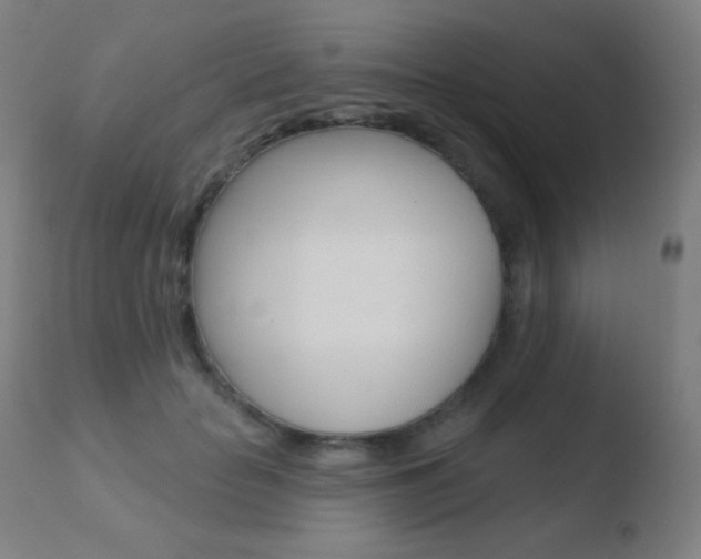 X0000110720653200906121248