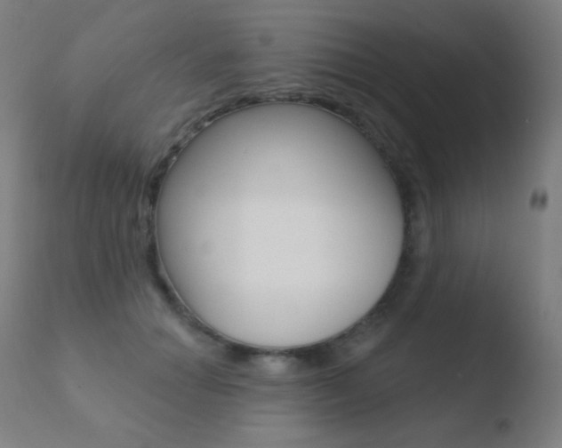 X0000110720654200906121248