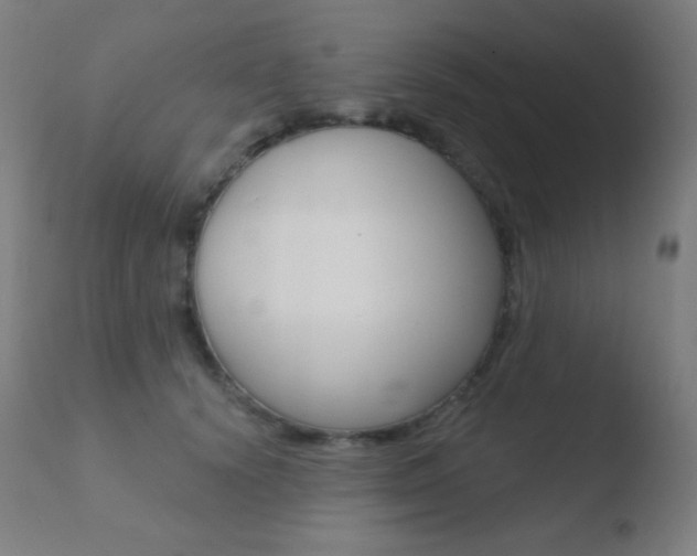 X0000110720656200906121248