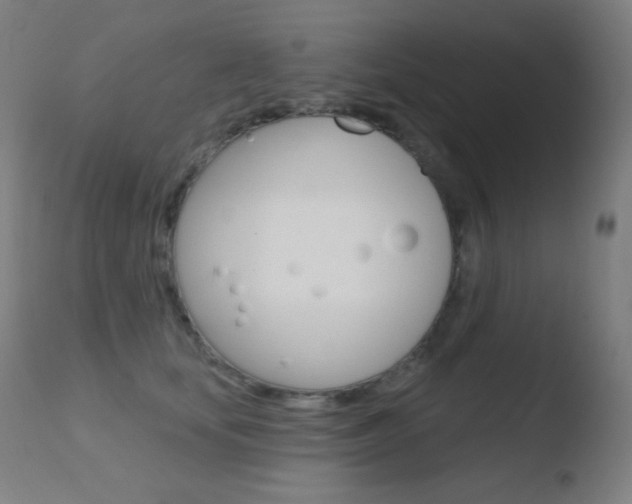 X0000110720659200906121248