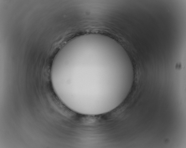 X0000110720661200906121248