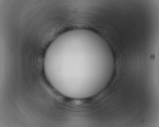 X0000110720662200906121248
