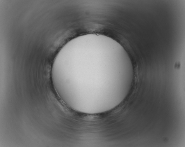 X0000110720664200906121248