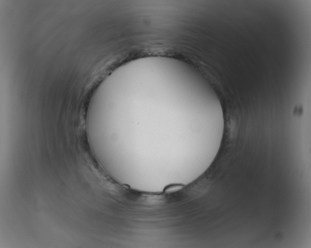 X0000110720665200906121248