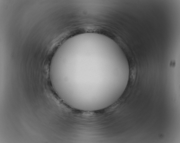 X0000110720666200906121248