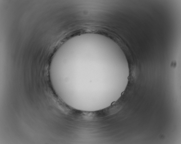 X0000110720667200906121248