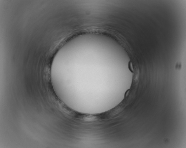 X0000110720669200906121248