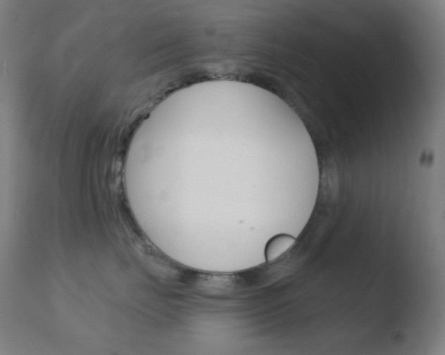 X0000110720671200906121248