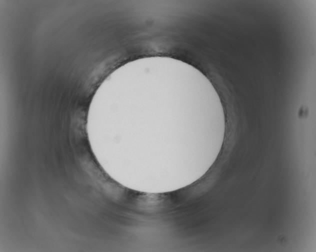 X0000110720672200906121248