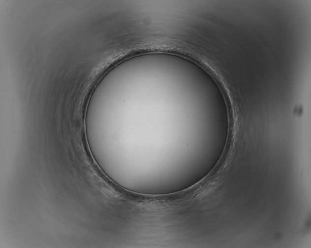 X0000110720673200906121247